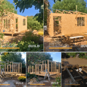 Kit Homes Gilbert Valley Feature Img